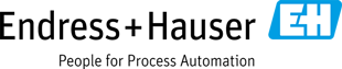 endress hauser logo-31a57443